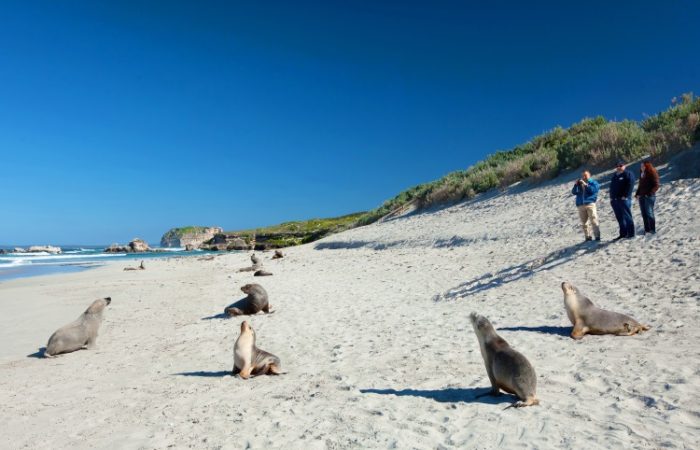 Kangaroo Island - Australia