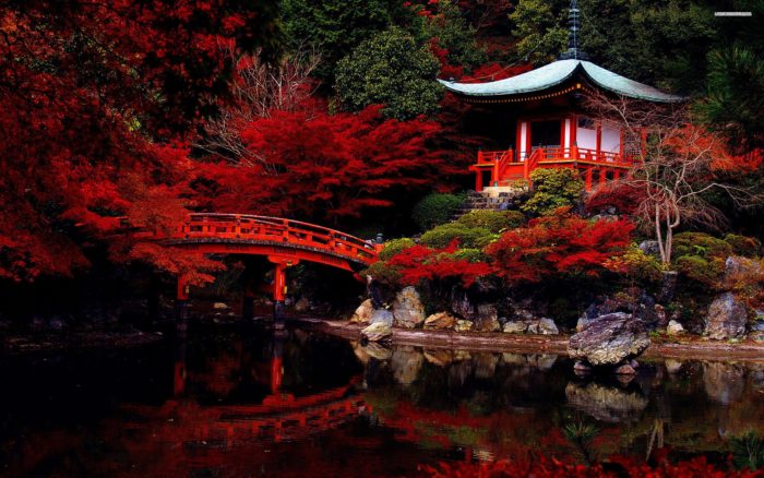 Giappone durante il foliage
