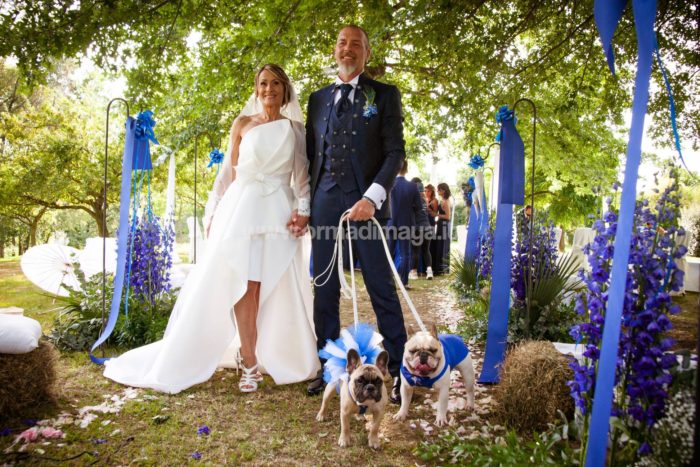 Wedding Pet Sitters