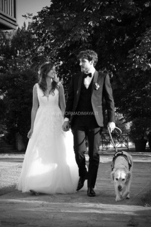 Wedding Pet Sitters