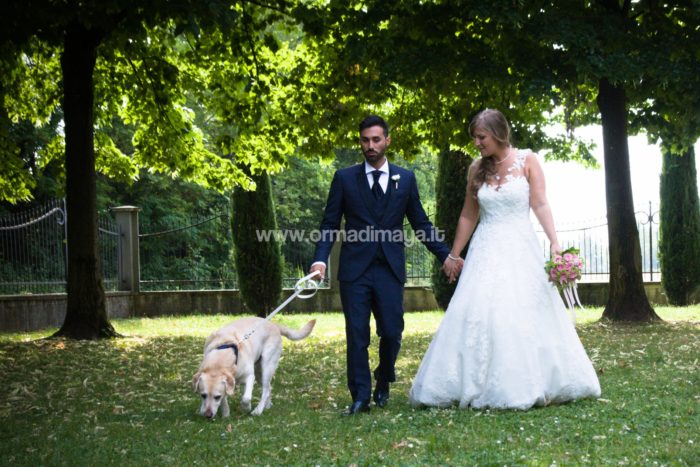 Wedding Pet Sitters