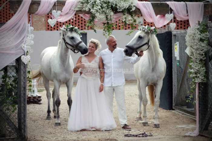 Wedding Pet Sitters