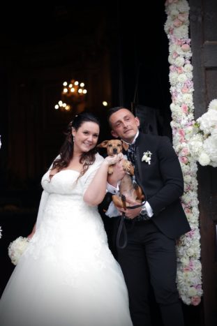 Wedding Pet Sitters