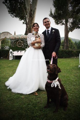 Wedding Pet Sitters