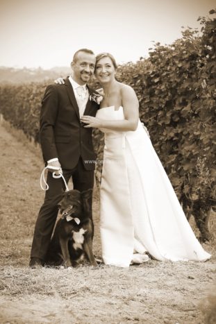 Wedding Pet Sitters