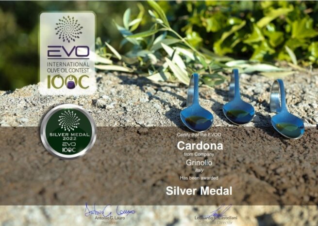 Silver medal all' Evo iooc